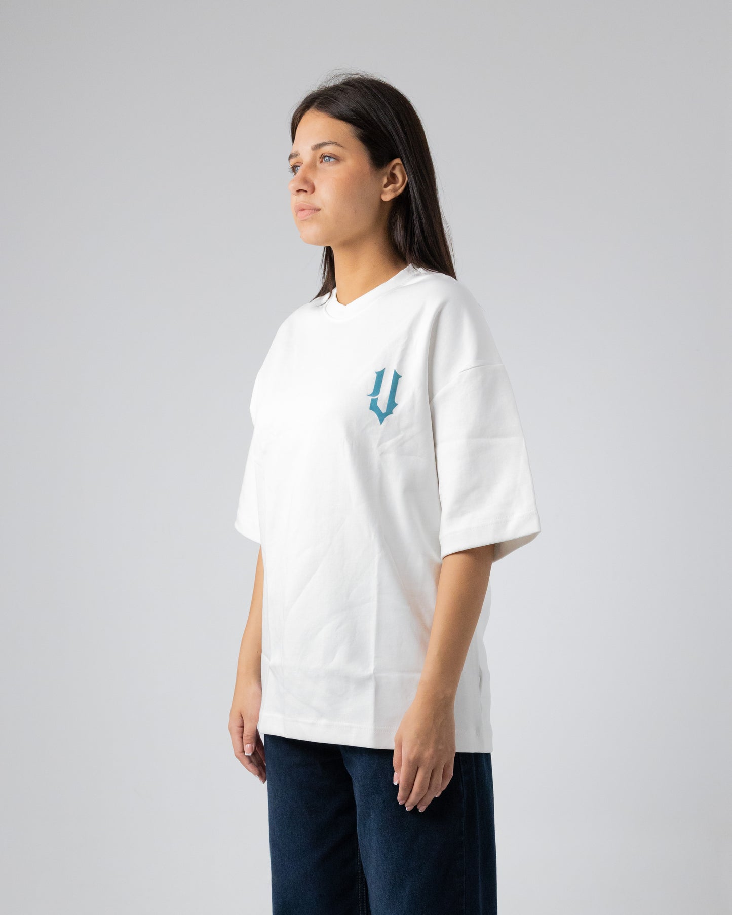 OVERSIZED VASTEC T-SHIRT VSC//2K25